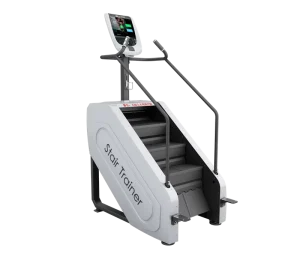 Price Heavy Duty Exercise Fitness Gym Equipment Cardio Dezhou Machine Manufacture Stair Trainer