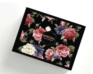 Printed Corrugated Box Glossy Laminated 3-Layer Airplane Mailer Box for Sports Equipment and Activewear Shipping