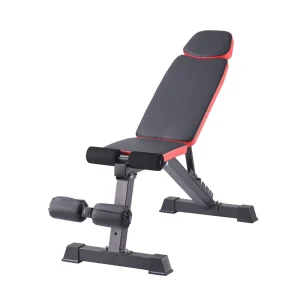 Professional Adjustable Incline Decline Flat Dumbbell Strength Training Weight Bench