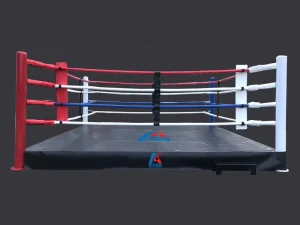 Professional Boxing Game and Training Used Boxing Ring for Sale