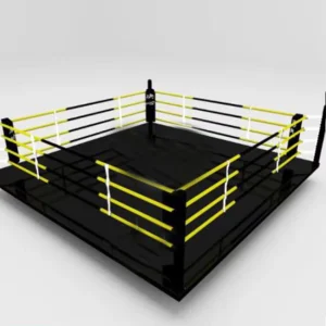Professional Boxing Ring High Quality