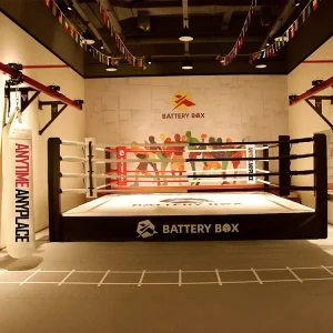 Professional Factory Custom Logo Boxing Ring 7m x 7m 6m x 6m Floor Ring 4m x 4m