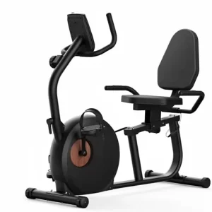 Recumbent Exercise Bike OEM Factory Supplier Magnetic Resistance Home Use Cardio Fitness Equipment
