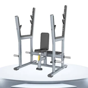ST-3045 Adjustable Sit-Up Bench and Multifunctional Bench Press