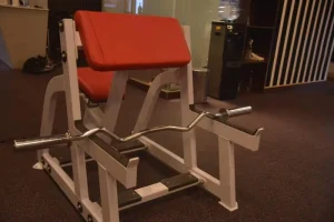 Seated Arm Curl Trainer Commercial Upper Arm Strength Equipment FW-2004