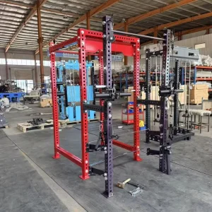 Shandong Commercial Gym Machine Factory Strength Training Legs Arms Abs Home Exercise Squat Rack