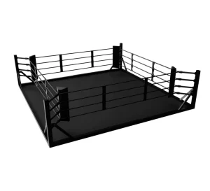Shandong Factory Standard Competition Martial Arts Training Portable Boxing Ring with Platform
