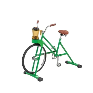 Single-Speed Aluminum Alloy Smoothie Bike for Outdoor Parties
