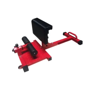 Sissy Squat, Sit-Up and Push-Up Abdominal Training Machine