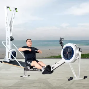 Ski Simulator Machine Ski Erg Air Rowing Machine