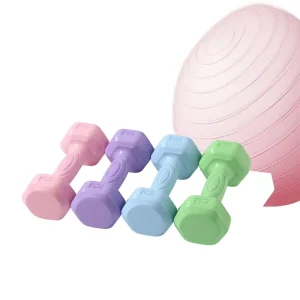 Small Dumbbells for Women and Teenagers, 2/3 kg Pair, 1-15 kg Barbell