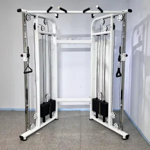 Small Flying Bird Multi-Station Gym Rack for Pull-Ups Lat Pulldowns Back Strength Training Dual-Arm Machine Home Use Q235 Steel