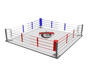 Small Size Floor-Level Wrestling and Boxing Ring