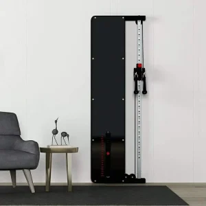 Space-Saving Metal Wall-Mounted Functional Cable Trainer Single or Dual Pulley Adjustable for Home Gym