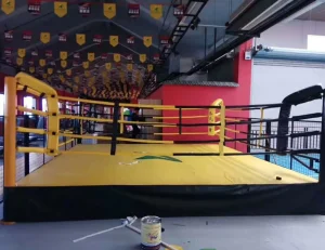 Square Floor Thai Boxing Ring for Wrestling and Martial Arts Championships