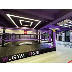 Standing Boxing Ring