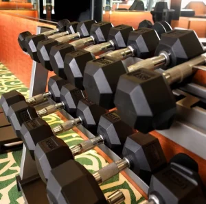Steel Hex Dumbbells Set 5kg 8kg for Home Gym Fitness Weight Training Unisex