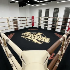 Steel Square Cage Boxing Ring for Muay Thai and MMA Training with Anti-Slip Surface