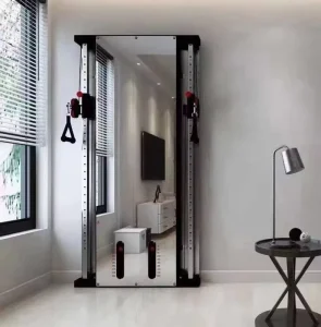Steel Strength Gym Machine Multi-Pulley System Functional Trainer Wall-Mounted Cable Crossover with Mirror Home Use