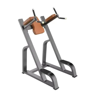 Steel Vertical Knee Raise and Dip Bench Strength Training Gym Bench