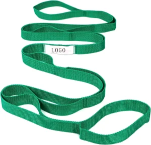 Stretch Strap for Physical Therapy, Yoga, Flexibility and Mobility Training