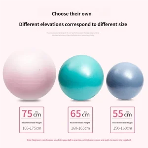 Thick Yoga Fitness Ball 65cm Heavy Duty Birthing Pilates Ball for Prenatal Care and Children