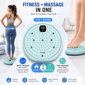 Twist Board Acupressure Waist Disc for Exercise and Rehabilitation