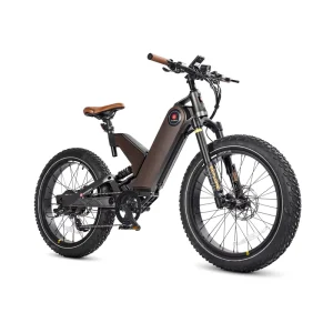 US Warehouse Stock Snow Bike Electric Hybrid Fat Tire 7 Speed 24 Inch