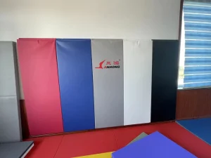 Wall Pad Protect Mat Gym Mat for Martial Arts Floor