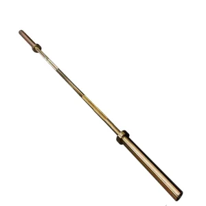 Weight Bar Set with Free Weight Plates, 20 kg Titanium Gold Bar, 1000 lb Load Capacity, Home Exercise