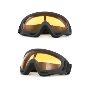 Windproof Ski and Motorcycle Goggles