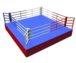 Wrestling Arena Boxing Ring, 4 x 4 m, with 0.5 m Table, Custom Size