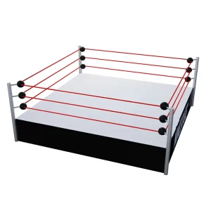 Wrestling Arena Factory Direct Wrestling Ring