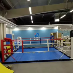 YG-MMA11 Customized Floor-Level Stage Boxing Ring and MMA Cage for Training