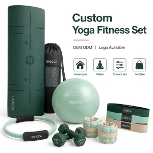 Yoga Fitness Set Home Gym Pilates Accessories Kit with Yoga Mat Resistance Band Yoga Ball Ankle Weight for Brands
