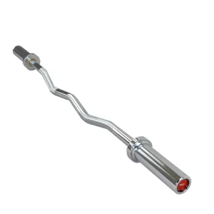 Z Curl Bar with Bearings